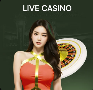 范赫斯登：再来一次仍100%会选择加盟国米 退役让我重新获得呼吸